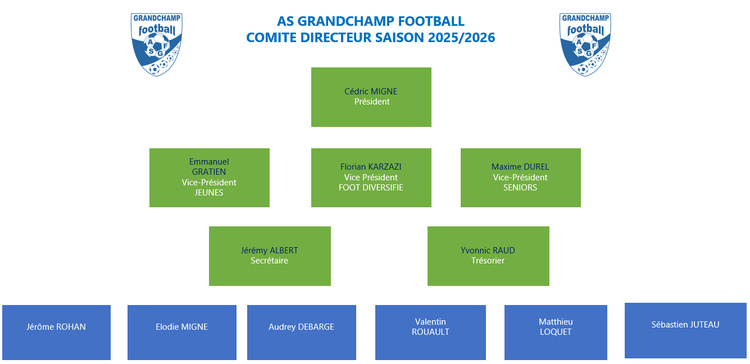 COMITE DIRECTEUR COMITE DIRECTEUR