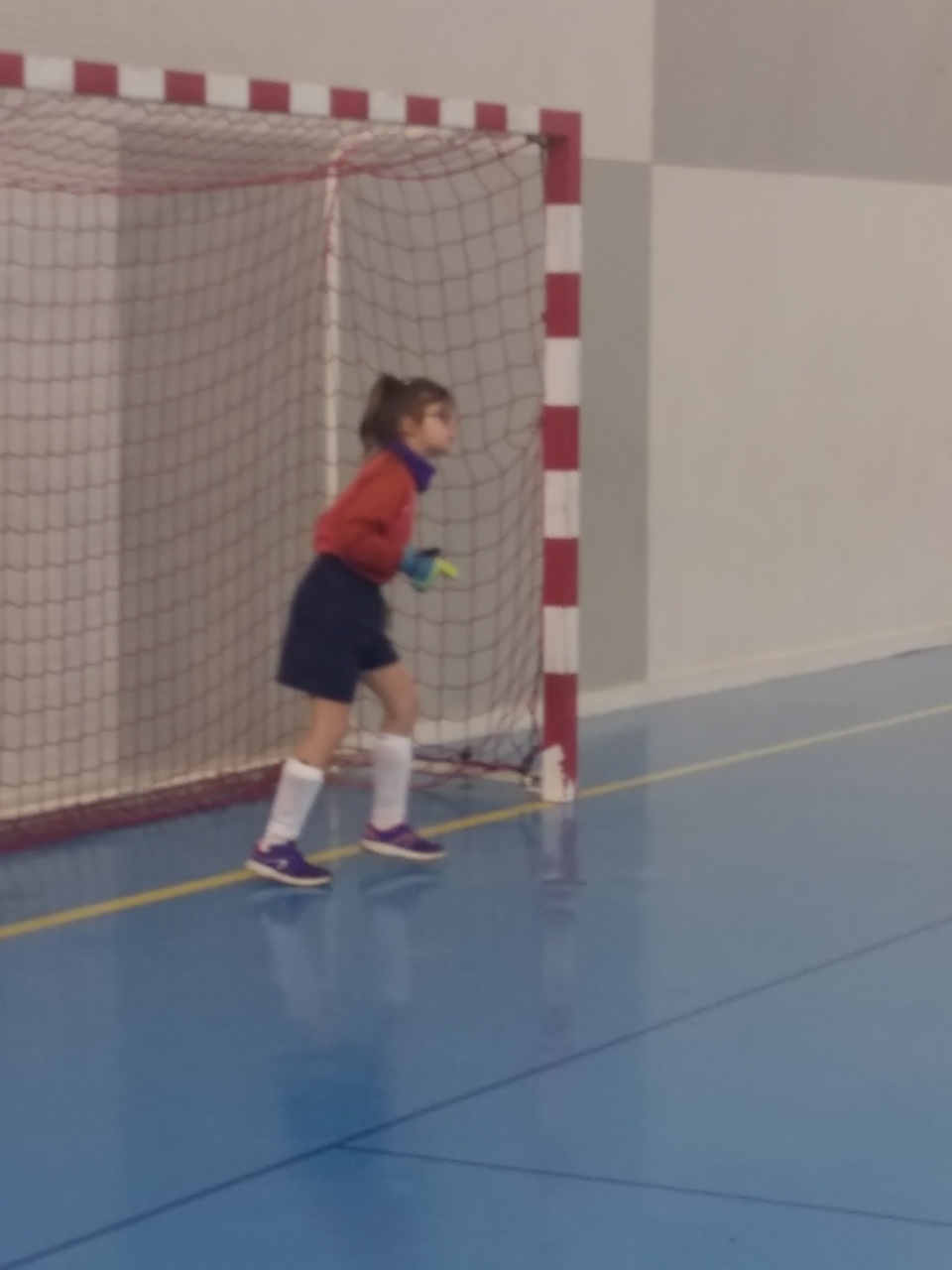 IMG_20200222_134530 IMG_20200222_134530