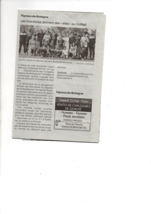 34409991-31441374 34409991-31441374