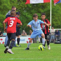 image--021 image--021