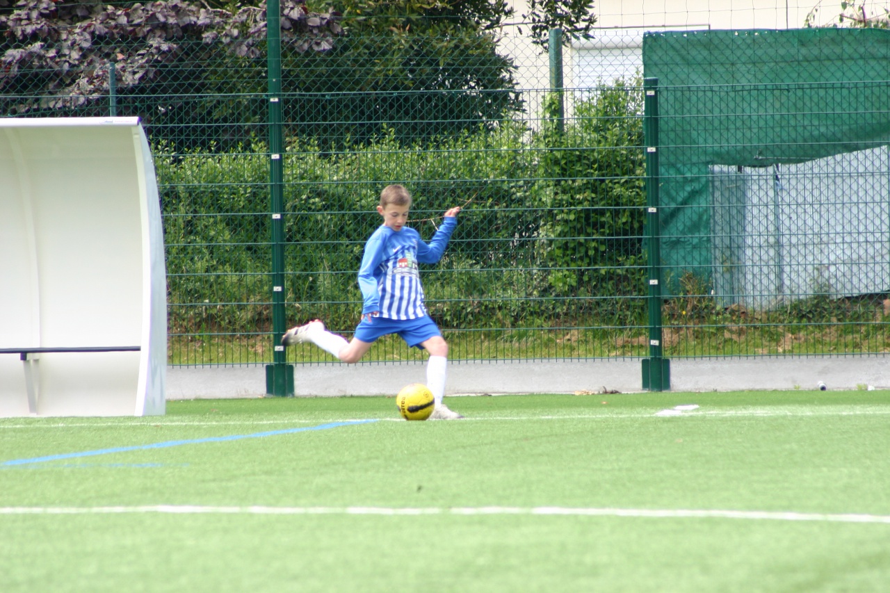 gal-11245891 gal-11245891