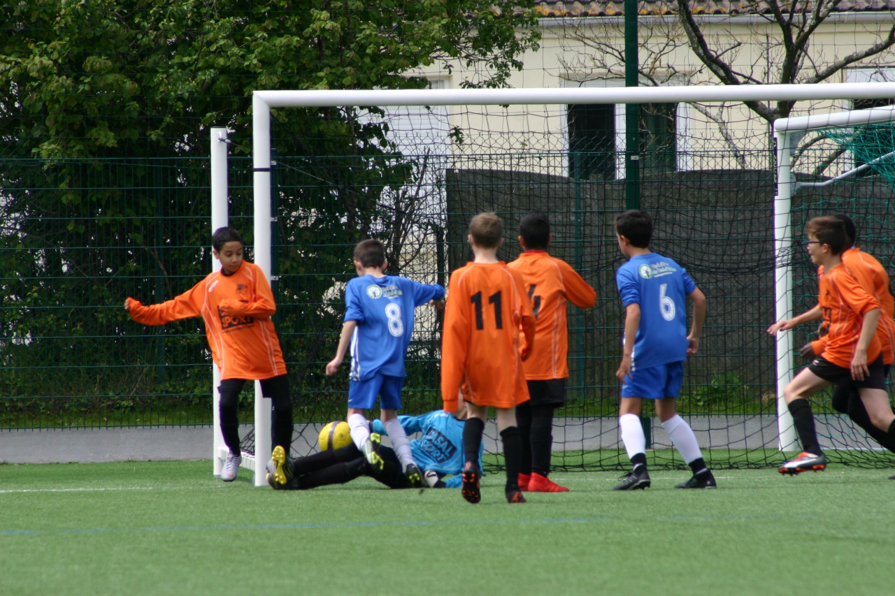 gal-11245892 gal-11245892