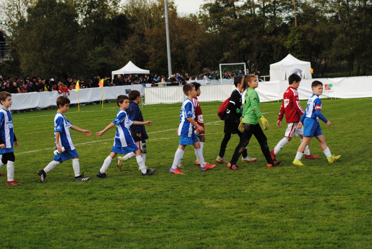 06E333C2-B295-4F96-982F-50F5B6E653A7 06E333C2-B295-4F96-982F-50F5B6E653A7