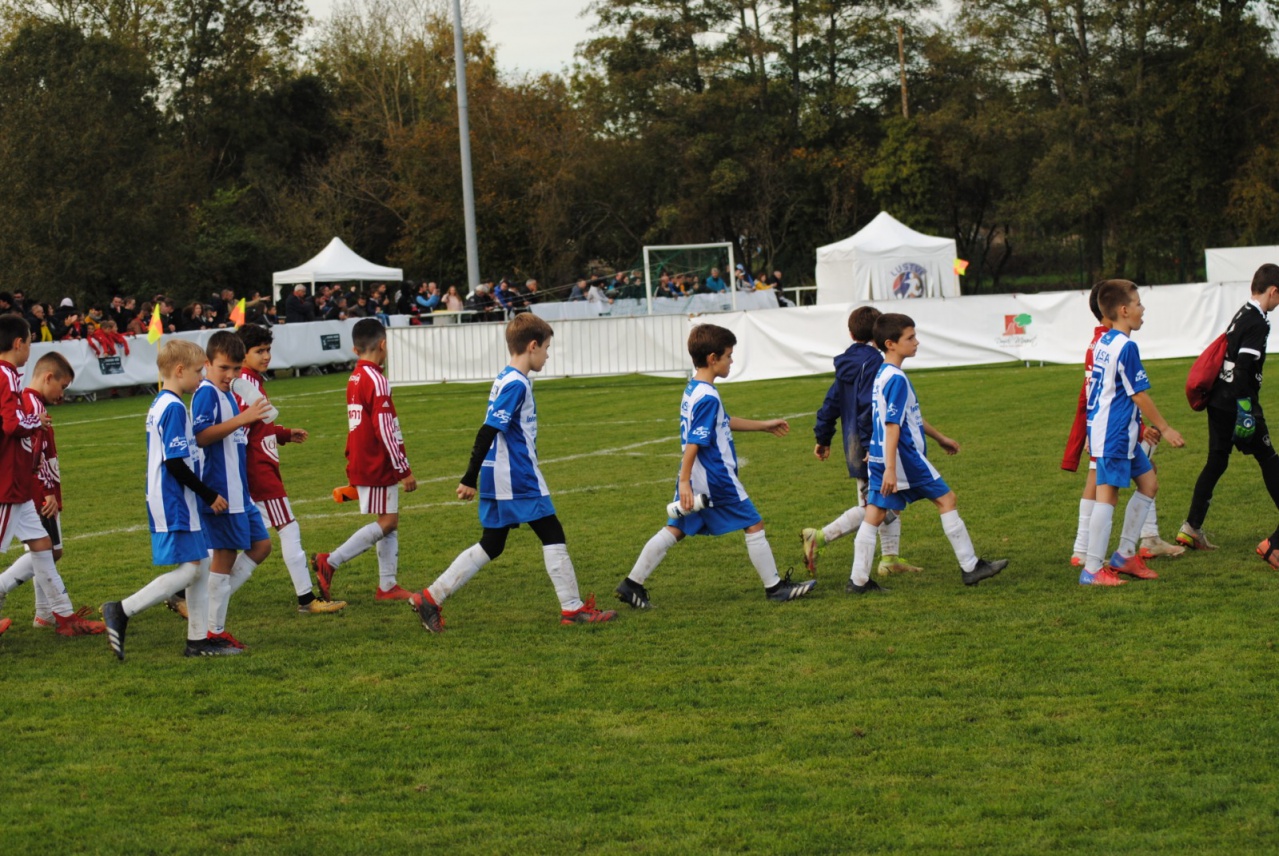 4294E963-E535-4ACE-B85F-69A3CECBD28F 4294E963-E535-4ACE-B85F-69A3CECBD28F