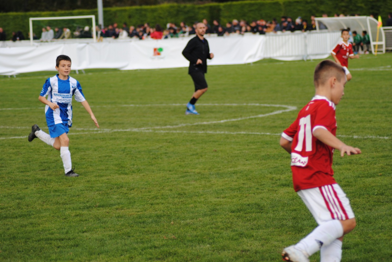 2D0B7DDF-3DD1-4499-9C4E-E3D527E12D6A 2D0B7DDF-3DD1-4499-9C4E-E3D527E12D6A