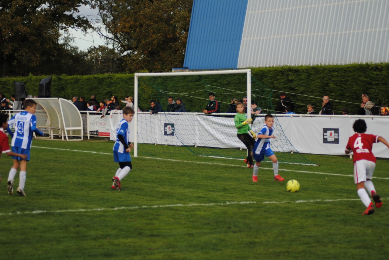 00FF3852-D586-4BBE-BE03-01F892FFC224 00FF3852-D586-4BBE-BE03-01F892FFC224