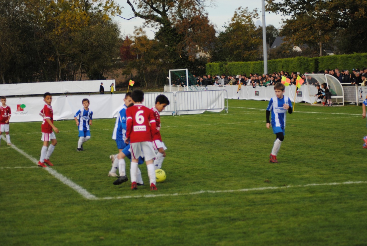 9B7652BE-520C-4466-B735-034E1B3BFD39 9B7652BE-520C-4466-B735-034E1B3BFD39