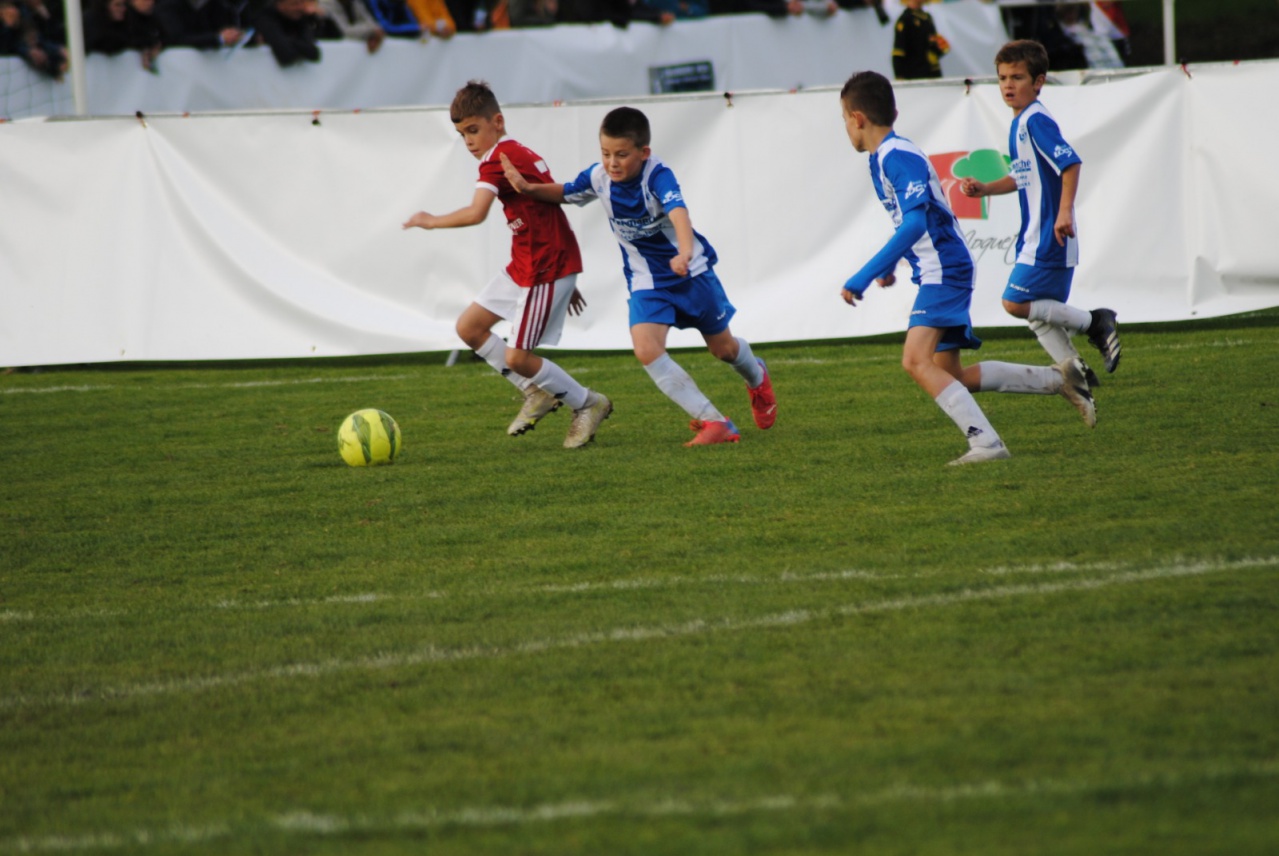 6C83A381-16AD-434E-B69A-CE38D948DB89 6C83A381-16AD-434E-B69A-CE38D948DB89