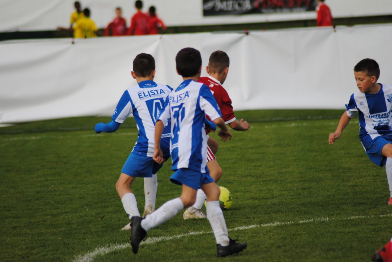 0C31A936-A08A-4F78-86B3-1558B4AE9305 0C31A936-A08A-4F78-86B3-1558B4AE9305