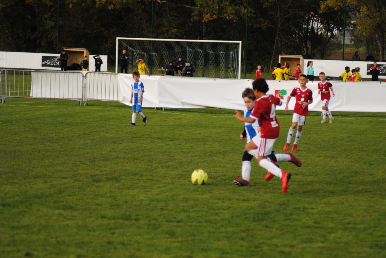 64FF2957-43E8-4343-ABC2-06B895DB50B7 64FF2957-43E8-4343-ABC2-06B895DB50B7