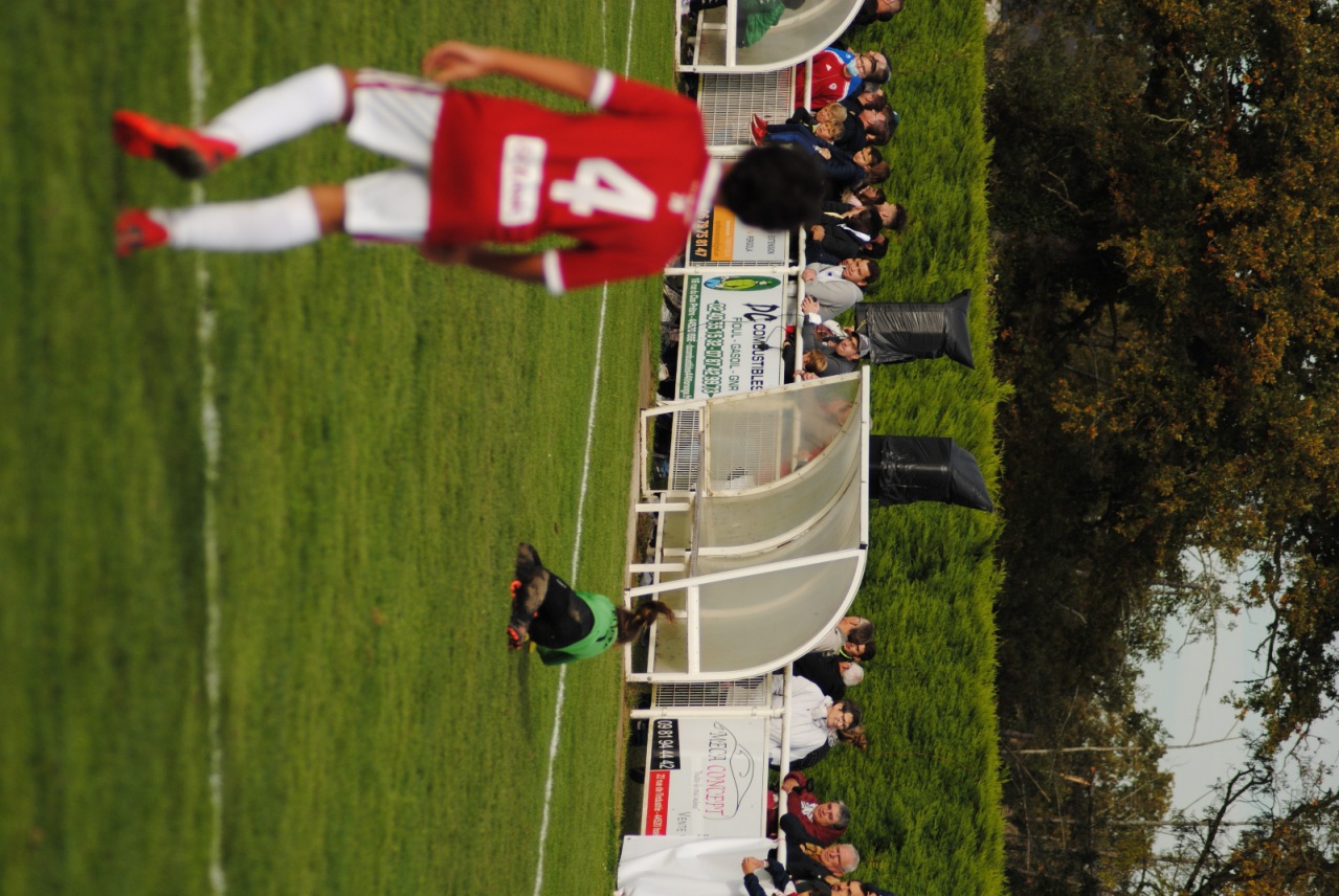 21E2AB68-60C2-4A76-83D2-49C469E2E2AE 21E2AB68-60C2-4A76-83D2-49C469E2E2AE