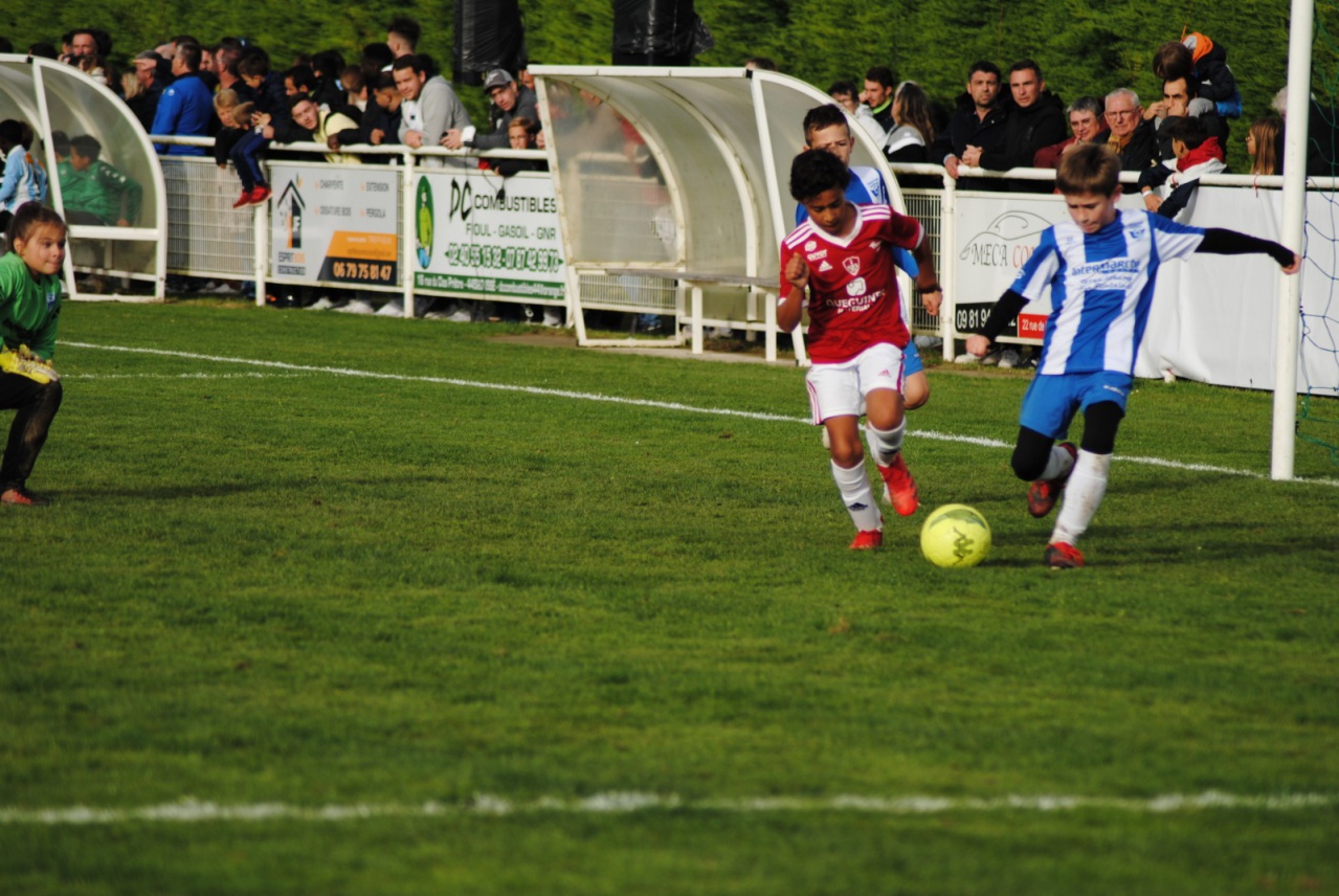 2C3A9FF9-50CB-4D2C-8CFC-3A13CAEA0C2B 2C3A9FF9-50CB-4D2C-8CFC-3A13CAEA0C2B