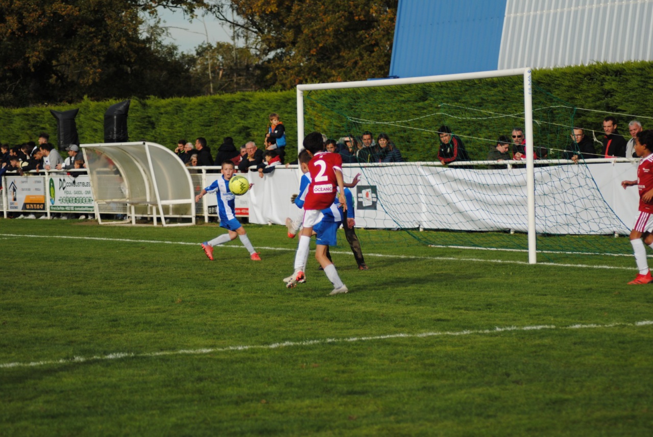 4CED091A-0D3A-438D-8C5C-CA2352971C3F 4CED091A-0D3A-438D-8C5C-CA2352971C3F