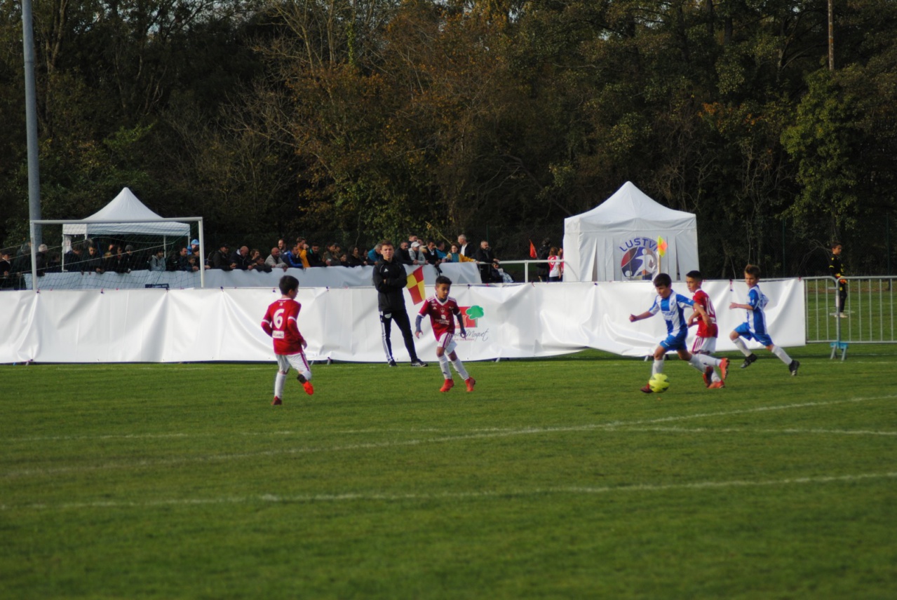 D528AB08-CC98-4215-9909-5E8377AB6905 D528AB08-CC98-4215-9909-5E8377AB6905