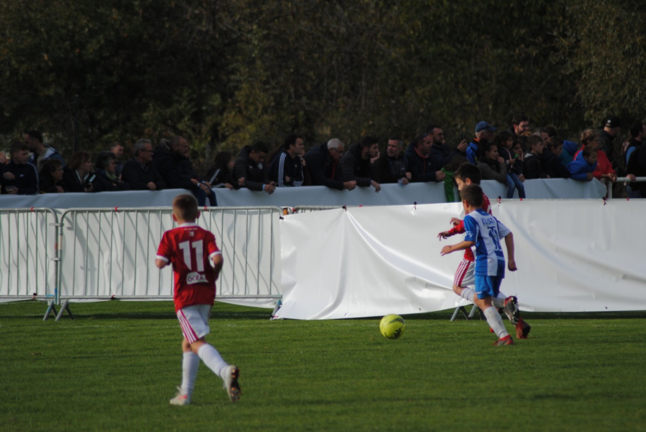 7412474F-AD67-4E0F-BF55-BB7C2ADF75FD 7412474F-AD67-4E0F-BF55-BB7C2ADF75FD