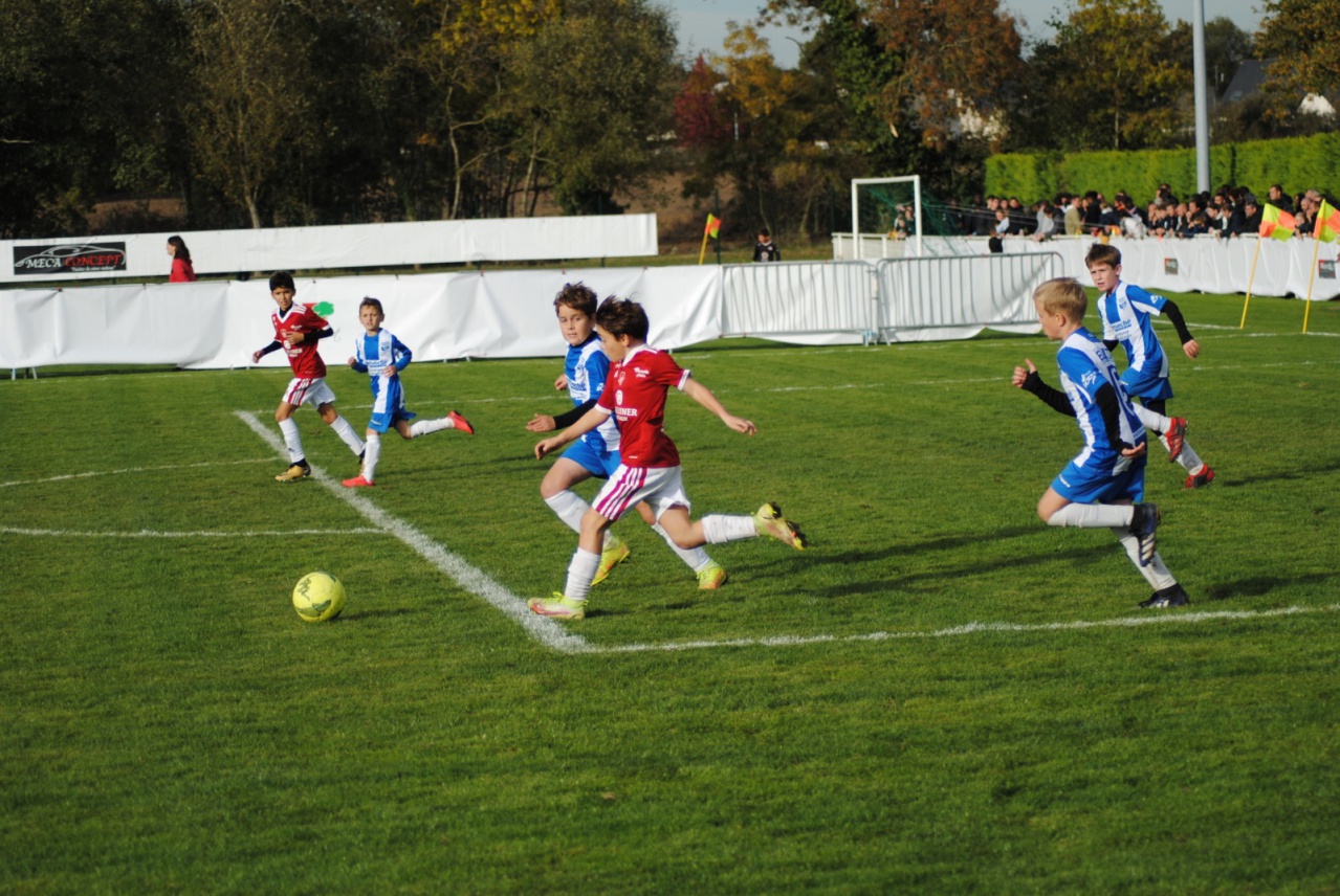 41273ECB-5E60-4867-81D0-D033910D2BF4 41273ECB-5E60-4867-81D0-D033910D2BF4