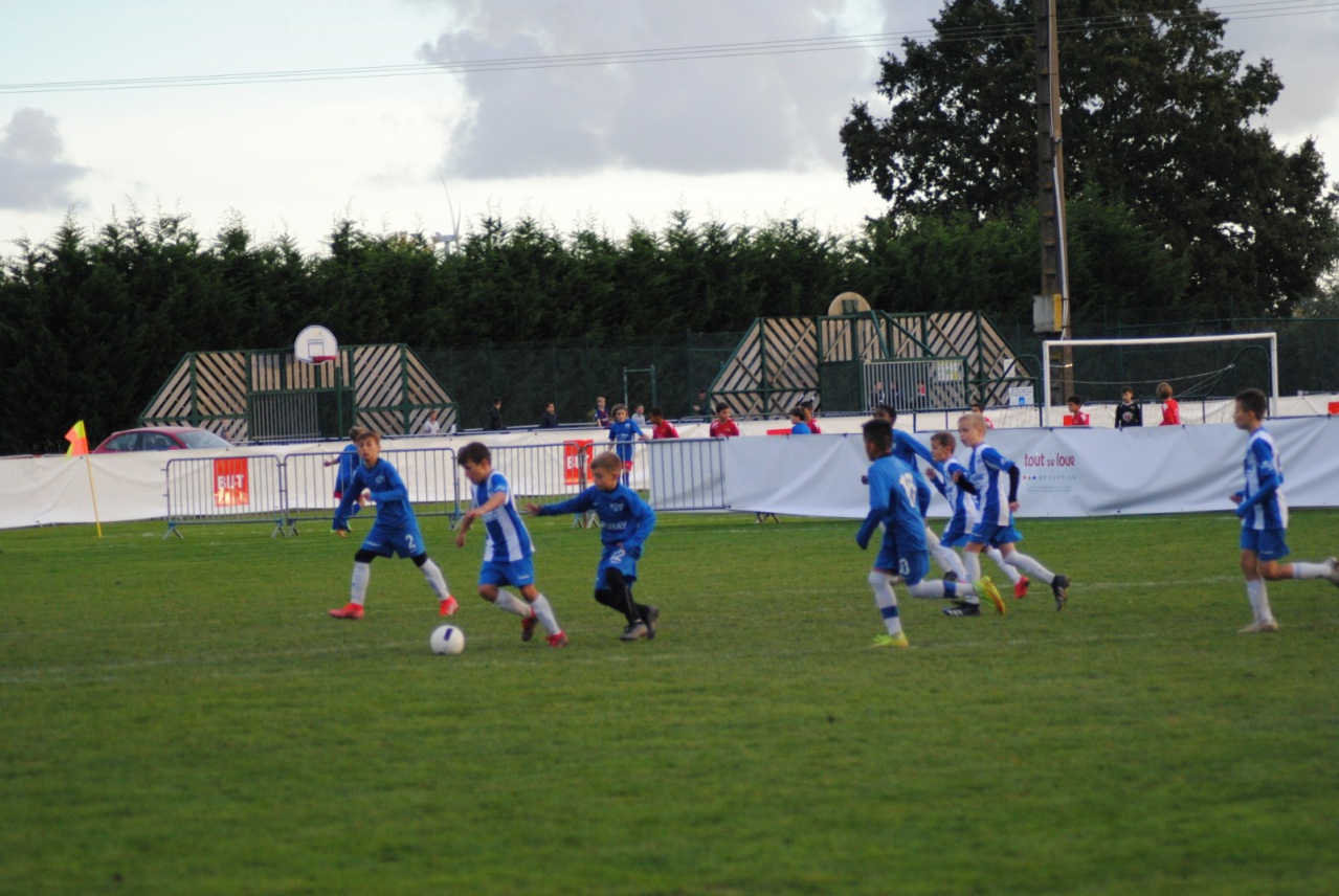 A1C4E457-D552-43AA-9439-F686206184F8 A1C4E457-D552-43AA-9439-F686206184F8