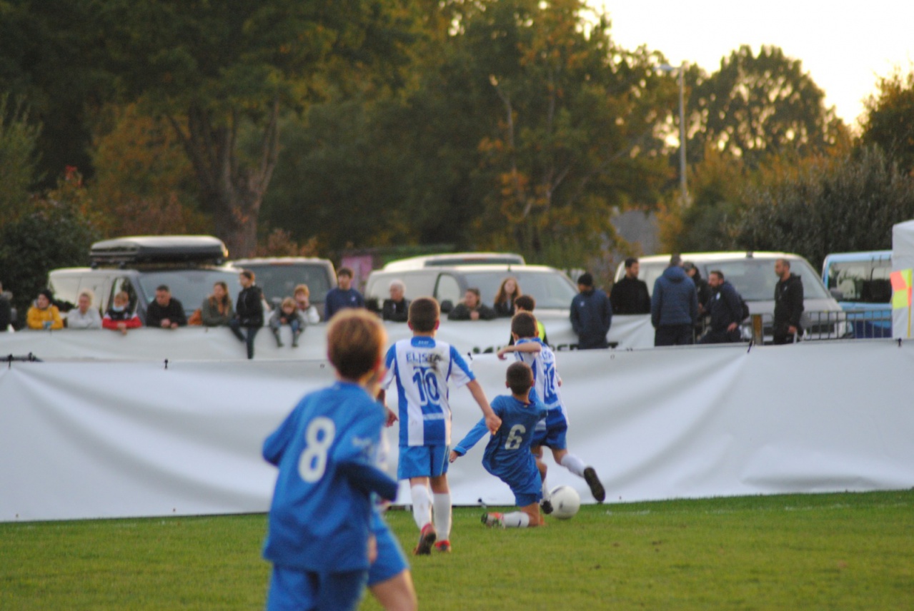 43229B97-8846-439B-82B9-42BC2BA7B5D9 43229B97-8846-439B-82B9-42BC2BA7B5D9